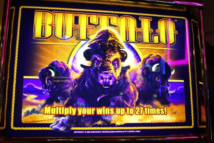 Buffalo Slot Machine App